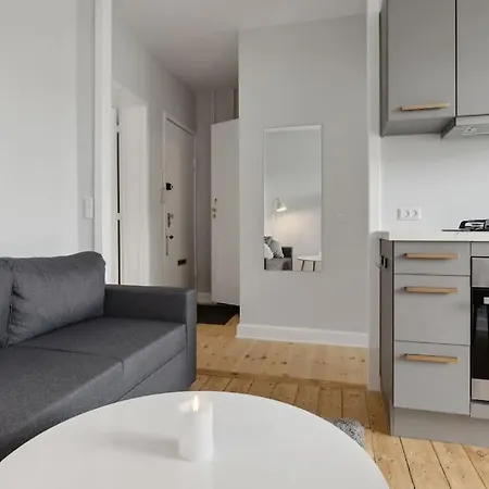 Apartment Bright With Balcony Close To Center
